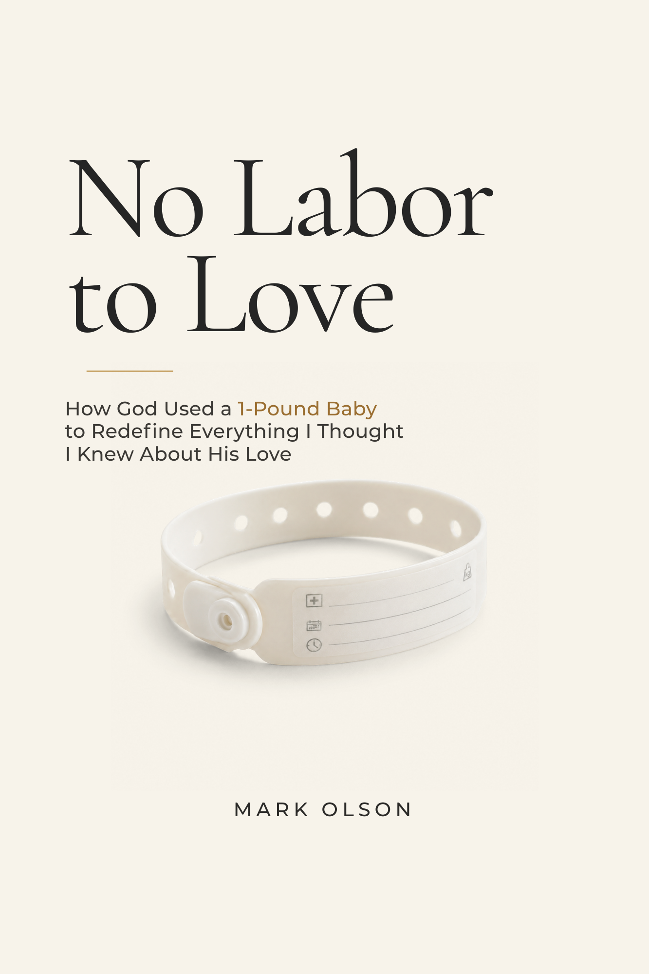 Book cover for No Labor to Love by Mark Olson